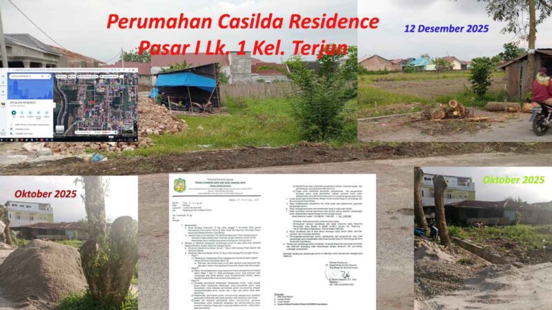 Surat Persetujuan Tebang Pohon Plt Dinas SDABMBK Medan dan pohon dipotong di Medan Marelan.