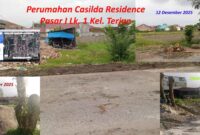 Penebangan pohon penghijauan Pemko Medan di Marelan