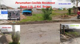 Penebangan pohon penghijauan Pemko Medan di Marelan