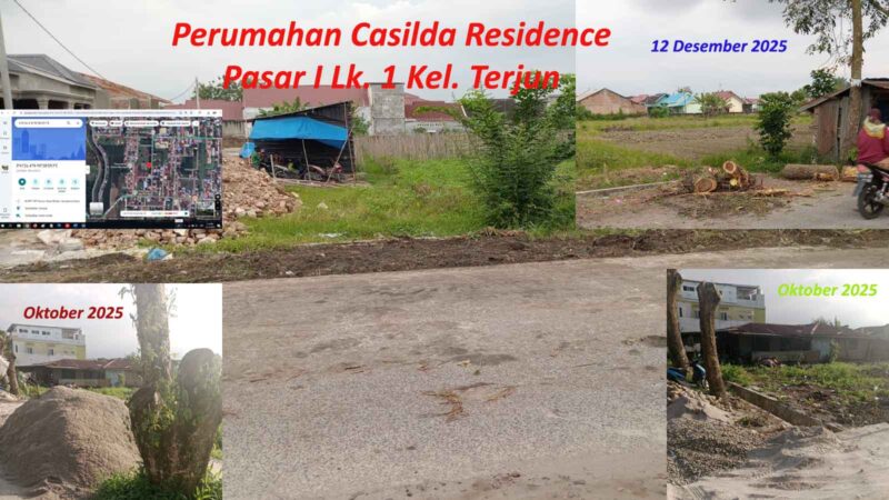 Penebangan pohon penghijauan Pemko Medan di Marelan