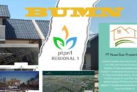 Alih Aset HGU PTPN 1 Jadi Perumahan Citraland di Deliserdang