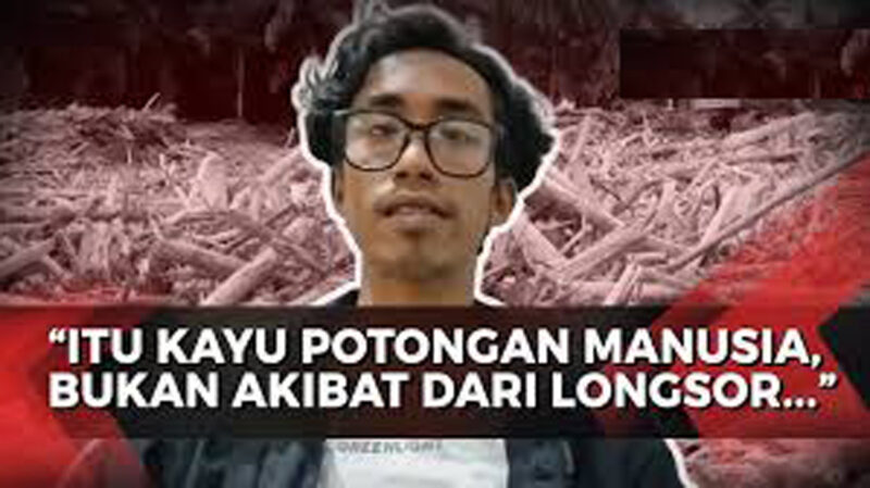 Direktur Eksekutif WALHI Sumut Rianda Purba